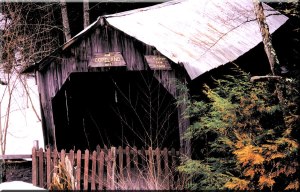 op_cope_br_color_frt