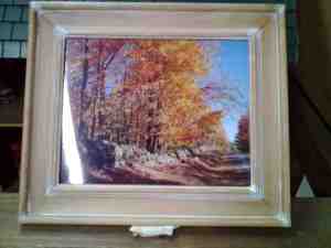 Autumn Picture 2015 Raffle Item by Norma Porteus