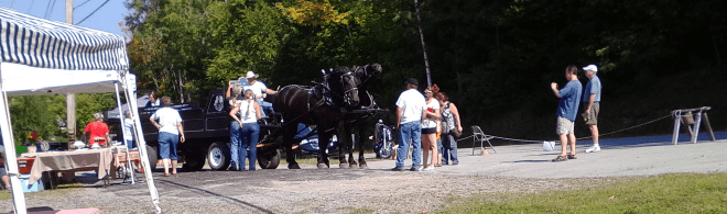 jd-percherons-at-2015-edinburg-fall-festival